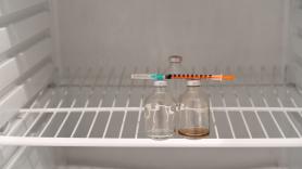 Cada año enferman 1.000 millones de personas de gripe y la vacuna solo funciona un 60% de las veces: los científicos ya trabajan en una vacuna universal que no haya que renovar