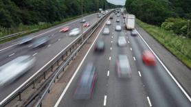 Mide 60 metros de ancho, ha costado 15 millones y cruza una autopista para salvar a osos y pumas: así es el puente para la fauna más grande del mundo