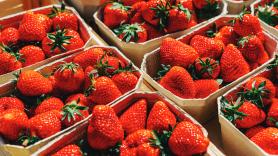 Los tecnólogos de alimentos coinciden: añadir una pizca de sal a las fresas ácidas no las sala, activa los receptores del dulce y hace que sepan el doble de dulces sin azúcar