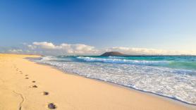 En Europa alucinan con el cambio de Fuerteventura: "El verde es tan intenso que casi hace daño a los ojos"