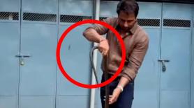 Un actor rescata una serpiente con sus propias manos pero el rescate no acaba como él esperaba