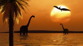 Una científica del CSIC reescribe la historia y halla la prueba más antigua de cuidado materno, hace 125 millones de años, en plena era de los dinosaurios