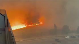 La indignante reacción de un joven cuando ve a las ovejas quemarse vivas en el incendio de Tres Cantos
