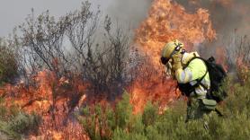 Un matemático de Alicante lo confirma: el calentamiento hace 39 veces más probable el clima que alimenta los incendios de España y Portugal