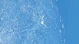 La NASA graba algo nunca visto antes: “Algo ha chocado contra la Luna”