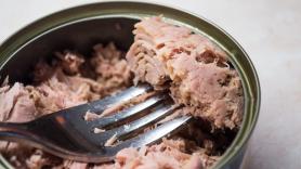 La experta Gemma del Caño alerta sobre el pescado: "El peligro es romper la cadena del frío"