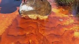 Así extrae oro de un río con solo una herramienta