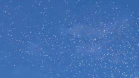 Llueven papeles en Gaza: el Ejército israelí obliga a evacuar