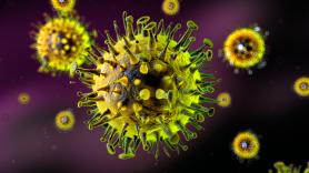 Descubren que los virus enviados al espacio regresan más potentes contra las bacterias