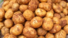 Un veterano agricultor avisa a los que comen patatas así: "Produce diarreas, vómitos y dolores de cabeza"