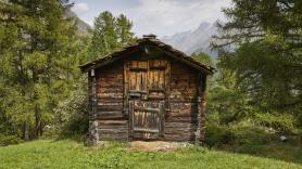 Catherine vive con su familia en el bosque y se enfrenta a los tribunales: "Mis hijos también tienen una cuenta bancaria en Australia"