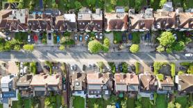 La plaga de insectos devora frutos y árboles y deciden combatir la invasión desatando a su enemigo natural