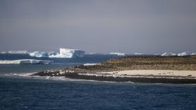Sumergen un robot en el árido lecho marino antártico en busca de un barco legendario y descubren algo inesperado