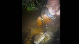 Primero se ríen cuando el guía cae al agua y luego empieza el terror cuando emerge la pitón de 6 metros