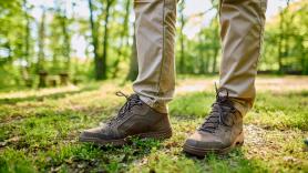 9.000 guardabosques se encuentran de baja temporal a la vez y la crisis amenaza con cambiar el paisaje para siempre