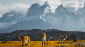 Los científicos resuelven el misterio de las 76 extrañas estructuras de piedra aparecidas en los Andes