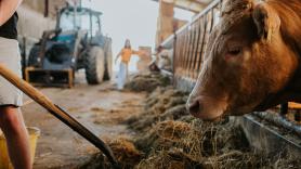 Arend, agricultor, quiere construir un establo pero no esperaba la llegada de los arqueólogos: "Si se encuentra un cofre con oro, tampoco es para mí"