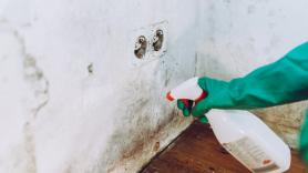 Un experto echa por tierra el mito del moho y la "pared que respira": "Si un muro deja pasar aire, su estructura es inestable"