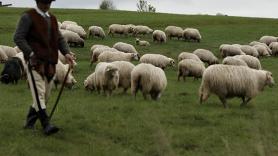 Obligan a devolver pastos a un agricultor de Castilla La-Mancha tras habérselos retirado por no vivir en el pueblo