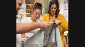 Ángel Revuelta, profesor, enseña a sus compañeros la mejor chuleta que ha visto nunca: "El nivel es increíble"