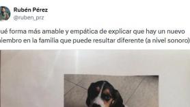 Adopta un perro y el cartel que cuelga en la comunidad de vecinos da la vuelta a España: la respuesta de uno de ellos triunfa