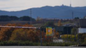 Cataluña acuerda con el sector sacrificar 30.000 cerdos sanos cerca del foco de la peste porcina