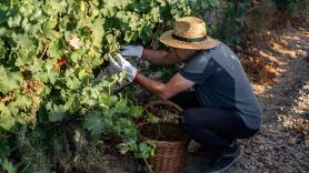 Manuel, jubilado de un pueblo de Granada, amante de la agricultura: "Mientras pueda, acudiré al campo todos los días"
