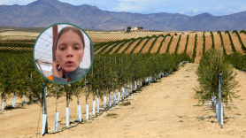 Samanta, joven agricultora de Almería: "No es que los jóvenes no queramos dedicarnos a la tierra, es que no podemos"