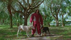 Los fans de Rosalía se fijan en la escena de los perros del videoclip de 'La perla' y sacan sus propias conclusiones