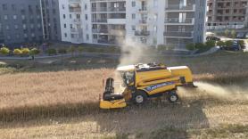 Michal, agricultor, se niega a vender su terreno y cosecha rodeado de edificios: “valiente y resistente”