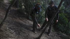 Guardia Civil y Mossos registran un laboratorio por el brote de peste porcina africana