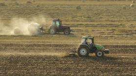 Cultivan el cereal milenario junto a paneles solares y los científicos realizan un descubrimiento revolucionario