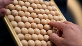 25508, segundo cuarto premio de la Lotería de Navidad 2025: consulta aquí dónde ha tocado