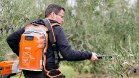 El voto que más dolerá a Miguel Ángel Gallardo: el PSOE pierde 20 puntos en el pueblo que gobernó durante 21 años