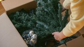 Begoña Pérez, 'La Ordenatriz', experta en limpieza: "Si tu árbol de Navidad ya tiene algún año, es hora de darle un buen baño"