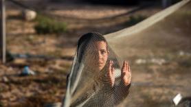 El año de Gaza: un genocidio confirmado, una tregua mal cumplida y una esperanza sin justicia