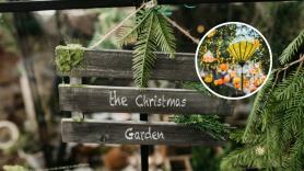 Un propietario estresa a todos los vecinos con sus luces navideñas y los expertos en derecho de alquileres señalan quién tiene las de ganar