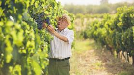 Un jubilado de 67 años se arriesga a trabajar un día para sacarse 80 euros y le cae una multa de 24.000 euros: "Injusto"