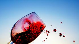 Jorge, de ingeniero a viticultor, lanza una advertencia sobre lo que está pasando en los restaurantes de España: "Nos estamos cavando una tumba"