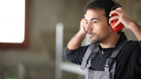 Por qué las alas de las polillas tienen la clave para el silencio absoluto en los aviones del futuro