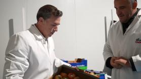 José Manuel Gallego, dueño de una de las mayores distribuidoras de frutas: "En Marruecos pagan en 30 días, pero aquí en España nos tienen ahogados a 180"