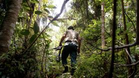 En una isla desierta buscan un empleado y ofrecen 30.000 euros por seis meses de trabajo