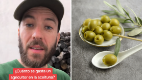 Un agricultor deja claro lo que se gasta en la aceituna: "Al día, por persona, unos 100 euros, sin contar gastos de gasolina, de tractores"