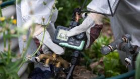 Stef (72) cultiva verduras y huevos en su propio huerto durante 40 años, hasta que una carta le cambia la vida: "¿Ahora tengo que tirar mis huevos por ser residuos peligrosos?"