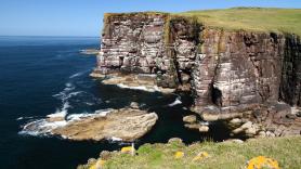 Ofrecen 5.000 euros al mes y alojamiento gratuito para vivir seis meses en una remota isla de Escocia con bella fauna