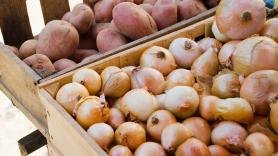 Un experto da el motivo principal por el que guardar así las patatas y las cebollas es un error