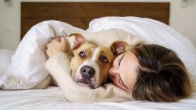 7 trucos para combatir el frío de tu perro