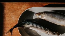 Ni sintética ni humana: envían piel de bacalao fresca desde Islandia para tratar a las víctimas de las quemaduras en Crans-Montana