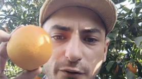 Un joven agricultor dice basta a los precios por las naranjas y se inspira en su abuelo para buscar su negocio del siglo