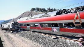 Localizan a Boro, el perro desaparecido en el accidente de Adamuz: pero ha escapado